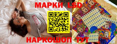 a pvp Моздок